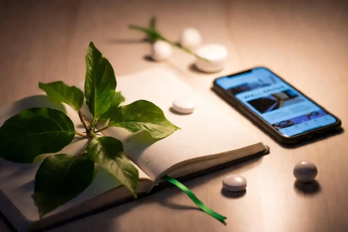 Wellness flat lay with journal, vitamins, plant, and phone showing a health article on screen