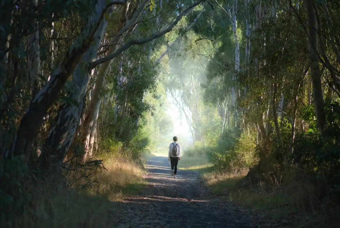 Person walking alone on a peaceful outdoor path symbolizing health recovery and personal wellness journey